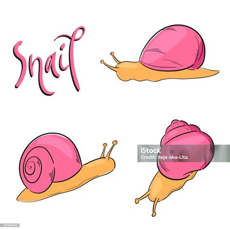 Vector Cartoon Pink Snail Character Illustration Set Isolated On White