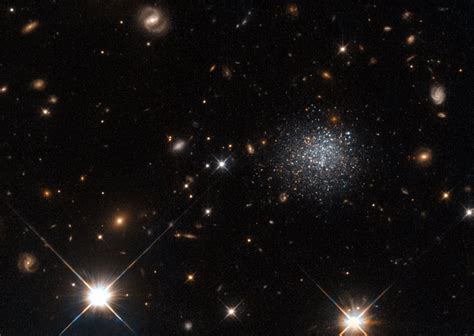 Hubble Views Stubborn Dwarf Galaxy Nasa