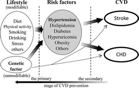 Hypertension And Cardiovascular Disease Case Study 6 Cardiovascular