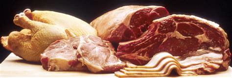 Animal source foods - Wikipedia