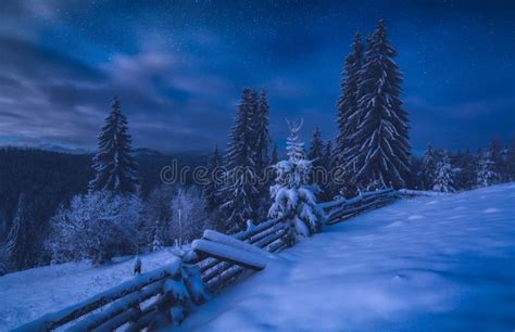 Alpine Valley At Night Covered With Snow Stock Image Image Of Forest