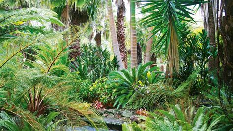 8 Top Plants To Add Tropical Texture To A Nz Garden