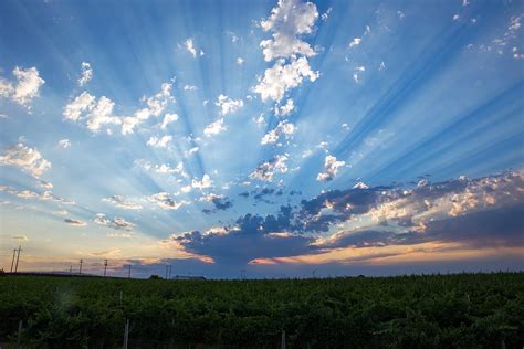 Morning Sunrays Photograph By Lynn Hopwood Fine Art America