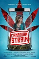 Canadian Strain : Extra Large Movie Poster Image - IMP Awards