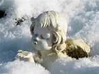 Engel im Schnee Foto & Bild | stillleben, figuren und miniaturen ...