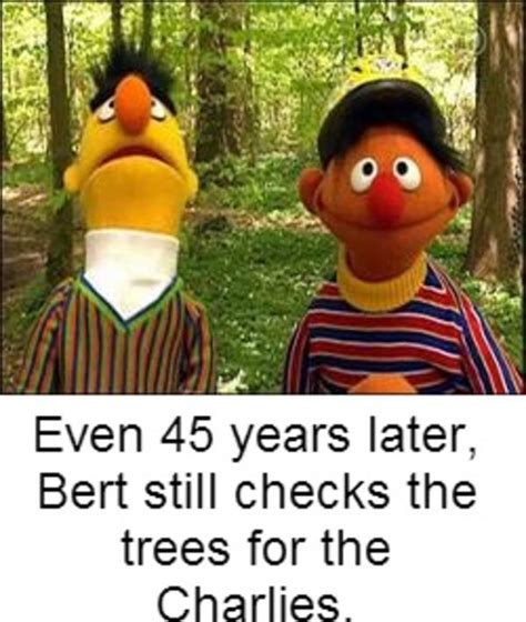 Bert And Ernie Have Flashbacks Sesame Street Know Your