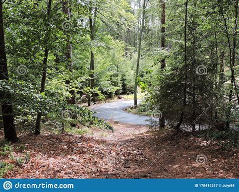 View Of Road In Mountain Forest Karlovy Vary Czech Republic Stock