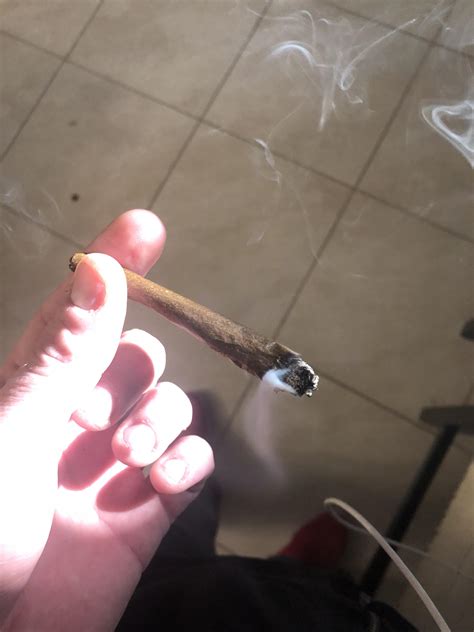 First Blunt Ive Rolled In A Few Years I Usually Burn Joints Trees