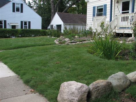 Grass Alternatives And Buffalo Grass In Ann Arbor Creating Sustainable