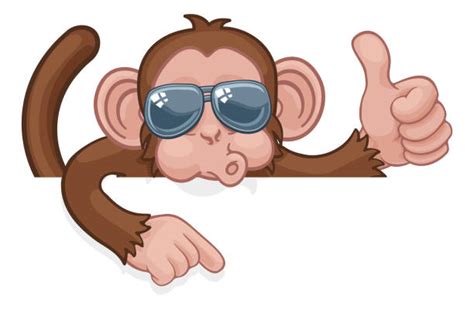 Monkey Giving Thumbs Up Illustrations Royalty Free Vector Graphics