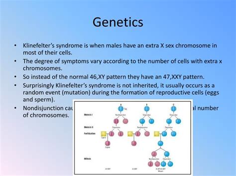 Ppt Klinefelter S Syndrome Powerpoint Presentation Id 6730569 Free