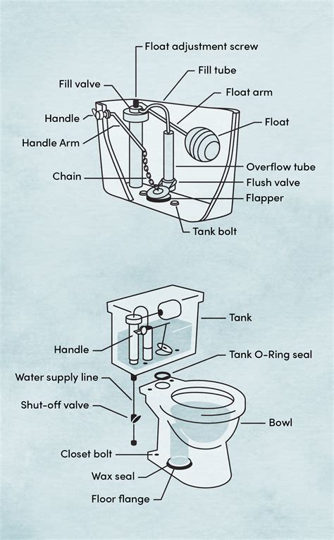 Toilet Bowl Schematic Diagram