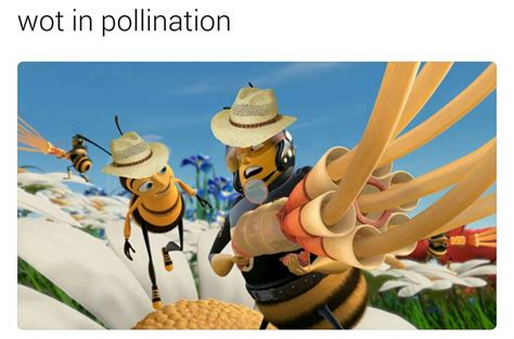 Funny Bee Memes Hilarious And Silly
