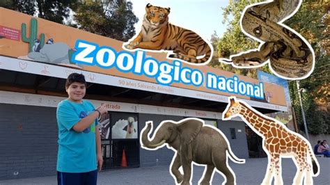 Zoológico Metropolitano Valor Entrada 🇨🇱 Mi Certificado