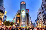 10 Must-Go Shopping Destinations in Shibuya | GoWithGuide
