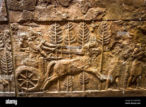 Ancient Assyrian Relief Sculpture University Of Chicago Oriental
