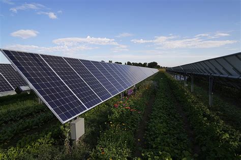 City Of LonGMont Solar Rebates