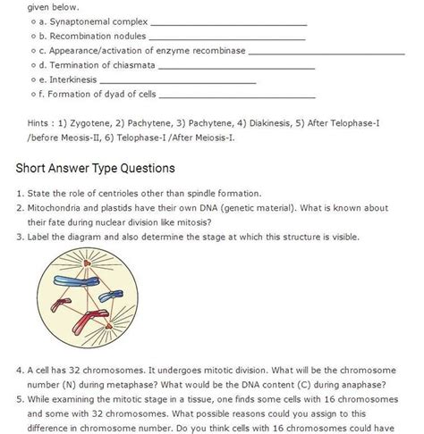 A) two each in mitosis and meiosis. Cell Reproduction Worksheet Answers and Important ...