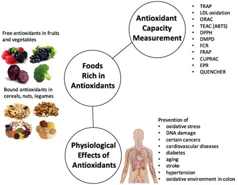 Antioxidants Free Full Text Electrochemical Methodologies For