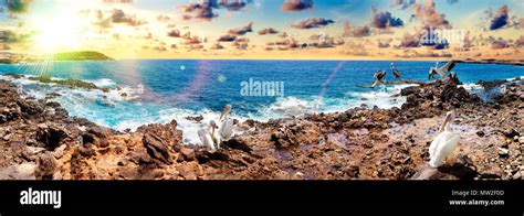 Nature Scenic Seascape In Canary Islandtravel Adventures Landscape