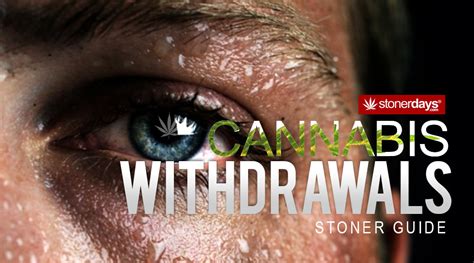 What happens when you stop smoking weed timeline. Cannabis Withdrawal | Stoner Guide | StonerDays