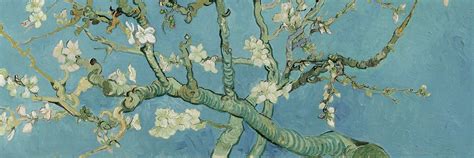 Biografi Vincent Van Gogh Ilustrasi