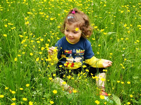 무료 이미지 잔디 들 목초지 놀이 여름 녹색 어린이 노랑 야생화 유아 서식지 낙 꽃 피는 식물 아기