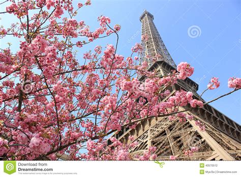 Paris France Eiffel Tower At Spring Stock Photo Image Of Capital