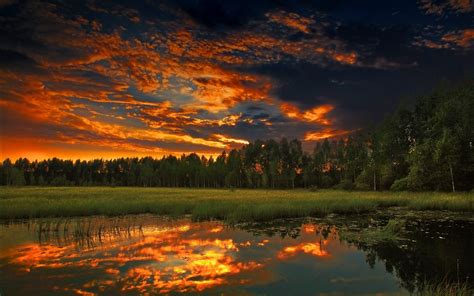 Sunset Clouds Landscapes Nature Forest Lakes Night Sky 2560x1600