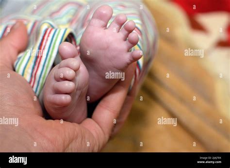 A Father Holds His Babys Foot A Newborn Little Toes In Parents Hand