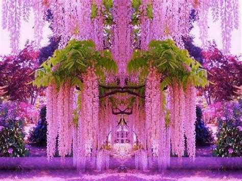 Boudoir Pieces Pic Of The Day The Beauty Of Japanese Wisteria