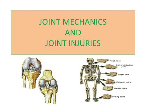 Ppt Joint Mechanics And Joint Injuries Powerpoint Presentation Free