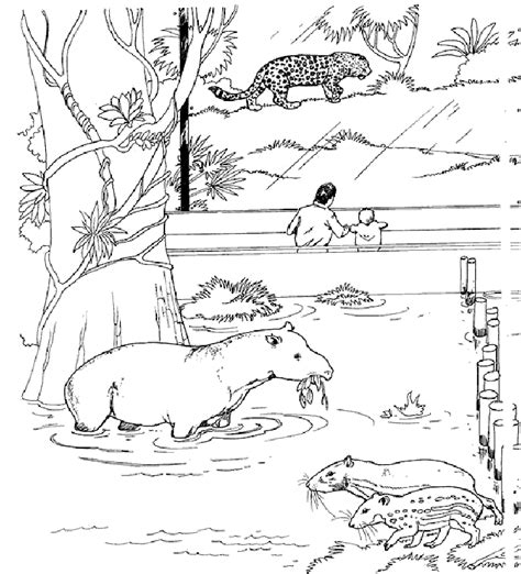 Drawings you can turn into your very own zoo color pages. Free Printable Zoo Coloring Pages For Kids