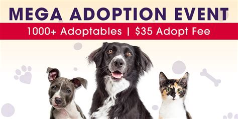 Brandywine Valley Spca Bvspca Launches Program For Pets
