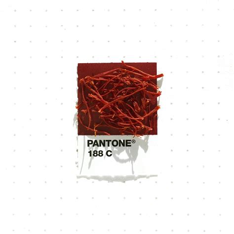 Pantone 188 Color Match Saffron The Most Expensive Spice In The World
