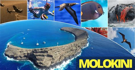 Molokini Crater Is One Of The Best Snorkeling Spots In Maui And