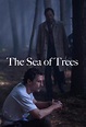 The Sea of Trees – Tráiler de lo nuevo de Matthew McConaughey ...