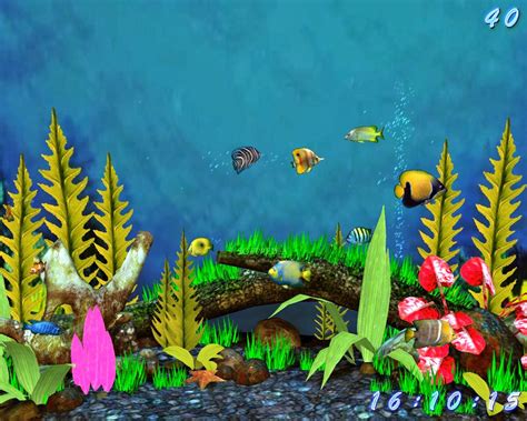 Aquarium Desktop Wallpaper Free Wallpapersafari