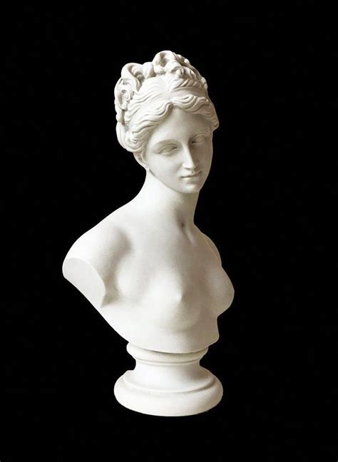 Venus Bust Sculpture Goddess Of Love Sculpture Greek Statues