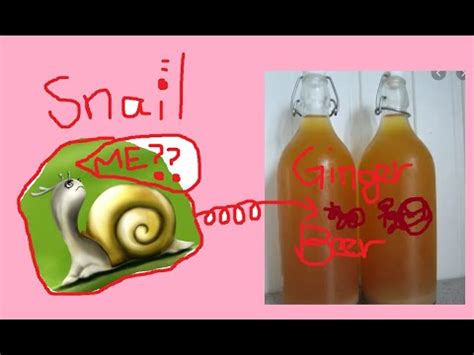 Donoghue a snail found in the ginger beer mrs. Found a snail in the ginger beer?!! Torts Donoghue v ...