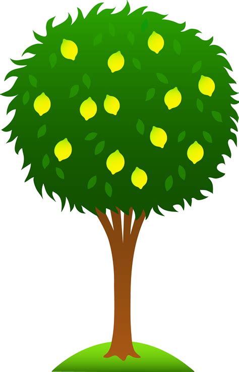 Tree Cartoon Png