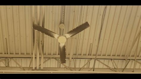 56 Dayton Industrial Ves And 60 Hampton Bay Industrial Ceiling Fans