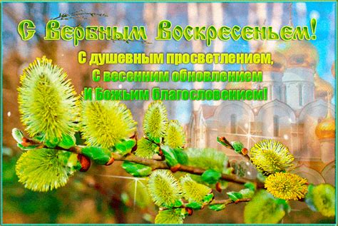 Узнайте о праздниках, которые отмечают и в любой день года. ВЕРБА - СИМВОЛ ВОЗРОЖДЕНИЯ. Обсуждение на LiveInternet ...