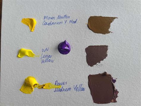 Mix Of Yellow And Purple What These 2 Colors Make Surprising Results