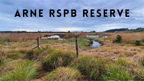 Arne Rspb Reserve Nature Diaries Youtube