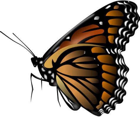 Free Clipart Monarch Butterfly Merlin2525