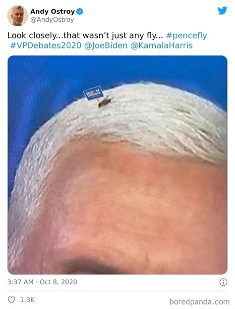 47 Memes That Wouldn’t Exist If The Fly Didn’t Land On Mike Pence’s Head Last Night