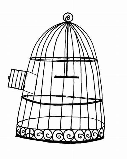 Cage Bird Coloring Pages Drawing Flying Place