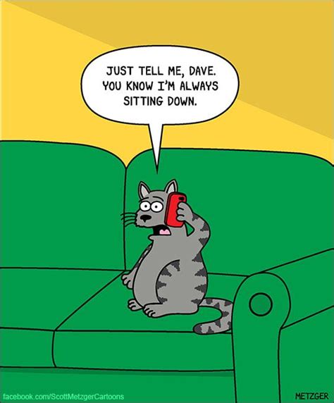 Single Panels Laugh Cartoon Funny Cartoons Cat Jokes