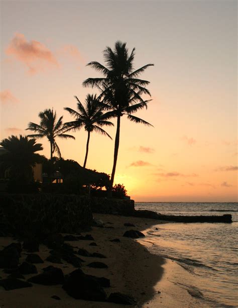 Which Hawaiian Island Is The Best Best Beaches Found In Hawaii
